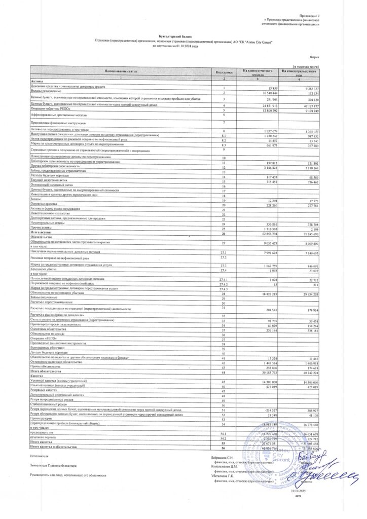 Иллюстрация — Бухгалтерский баланс и отчет о прибылях и убытках АО «СК «Alatau City Garant» по состоянию на 1.10.2025 года — превью