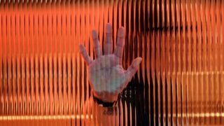 Отпечатки пальцев: утверждены правила использования