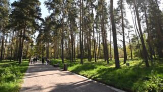 Зона отдыха на улице Розыбакиева появится в Алматы