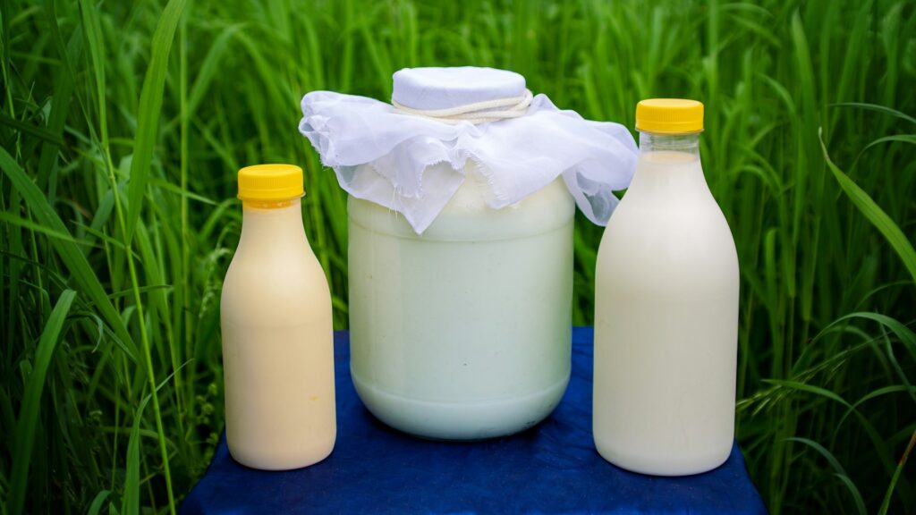 Фото: unsplash.com