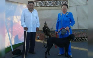 Казакбаевы из Жетысу много лет выращивают тазы и представляют Казахстан на выставках