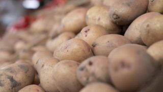 Потребление лука и картофеля вырастет в Казахстане