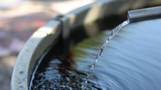 Снижение тарифов поливной воды вернет казахстанцам более 177 млн тенге