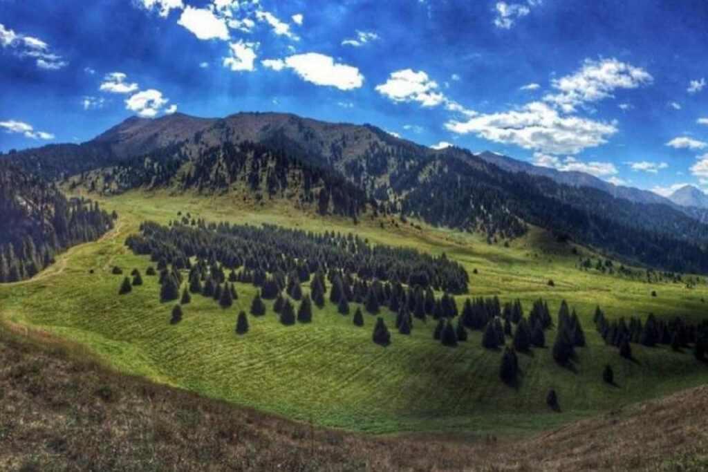 Иллюстрация — Көк-Жайлау жобасы алып-қашпа   пікірдің қыспағынан босап шықты
