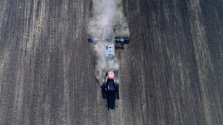 Государству возвращены земли в Павлодарской области на 101 млн тенге