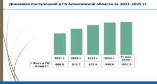 ДГД по Алматинской области поделился итогами работы за 11 месяцев 2025 года