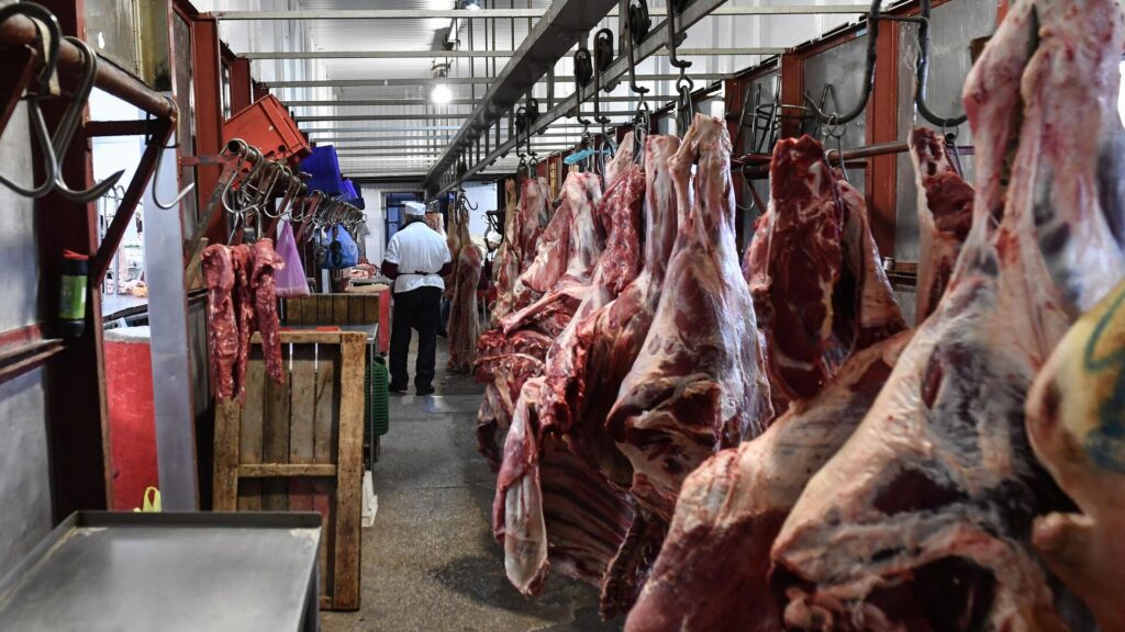 Фото: РИА Новости / Константин Михальчевский