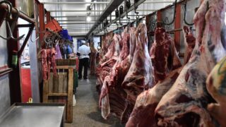 Казахстан ограничил экспорт говядины ради ценовой стабильности