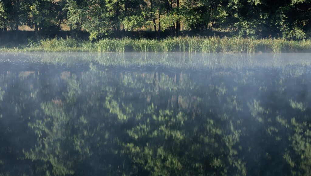 Фото: pvproductions / Freepik.com