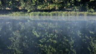 Орошение по-новому: в бассейне Сырдарьи пересматривают режимы полива сельхозкультур