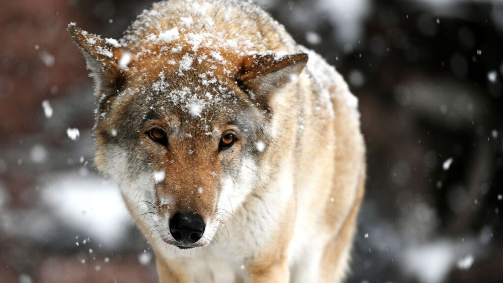 Фото: РИА Новости / Максим Блинов