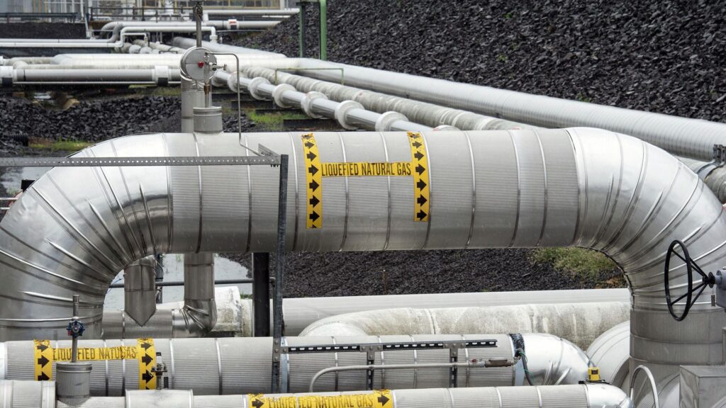 Фото: AP Photo / Cliff Owen