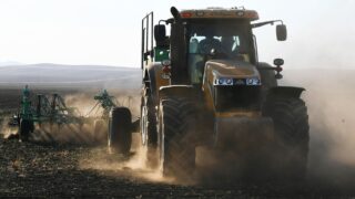 Фермеры — получатели субсидий фиктивно продали друг другу один и тоже скот на 808 млн тенге