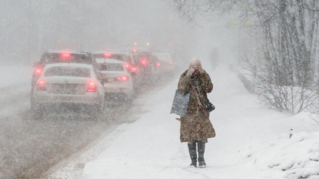 Фото: РИА Новости / Алексей Даничев