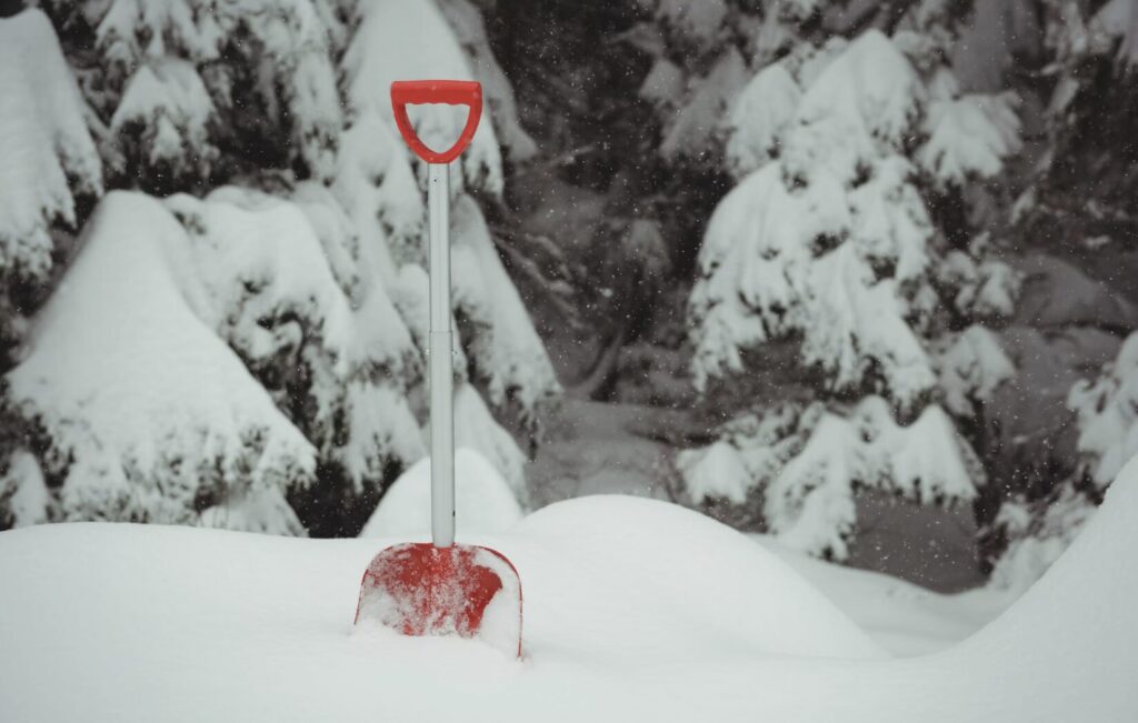 Фото: wavebreakmedia_micro / Freepik.com