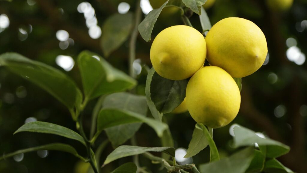 Фото: РИА Новости / Макс Ветров