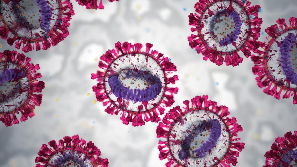 Фото: iStock.com / BlackJack3D