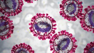 В Казахстане случаев вируса Нипах не выявлено