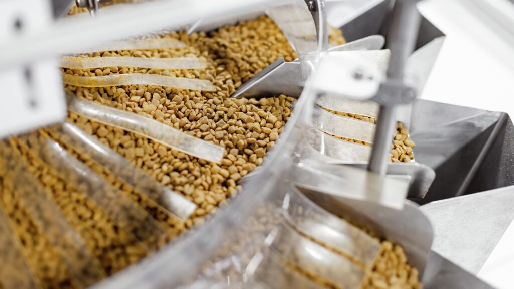 Фото: РИА Новости