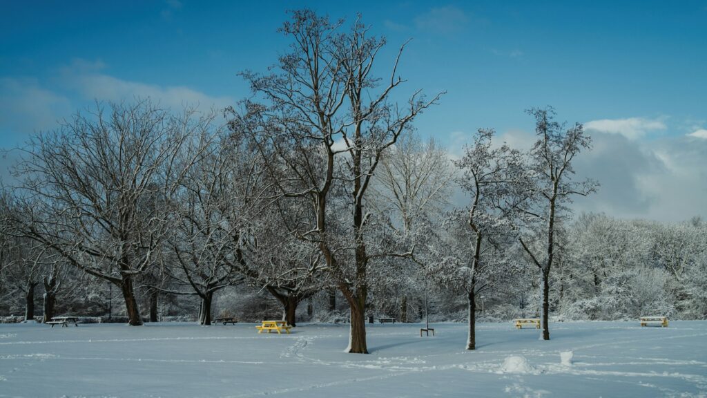 Фото: unsplash.com