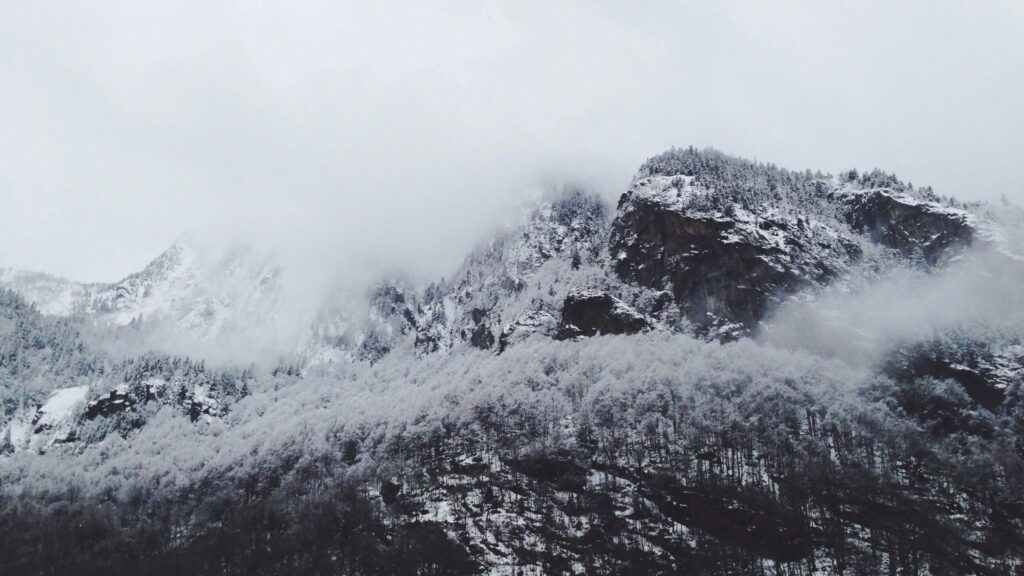 Фото: antoinefbr / unsplash.com