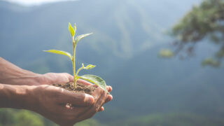 В Костанайской области усилили борьбу с эконарушениями – более 50 млн тенге взыскали с нарушителей