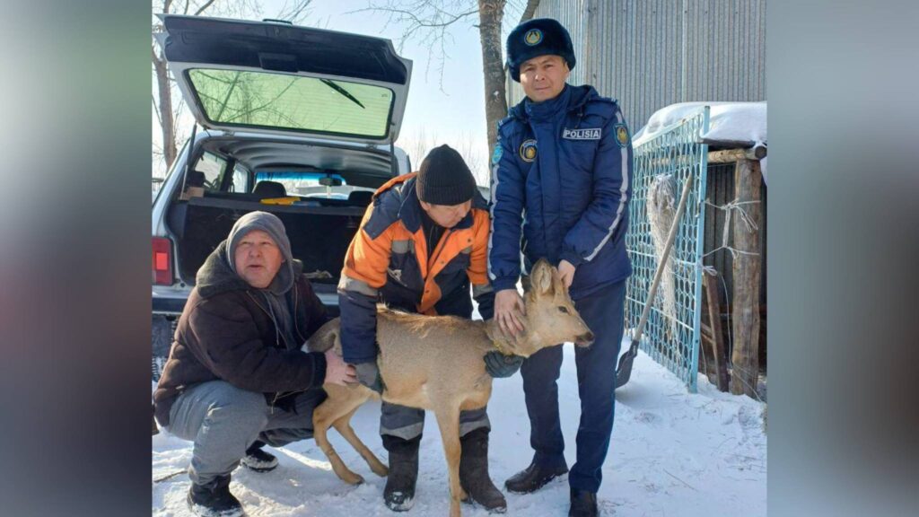 Фото: Polisia.kz