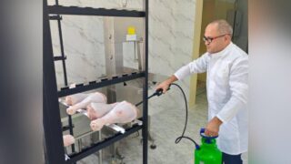 Казахстанские учёные увеличили срок хранения мяса птицы до 20 суток