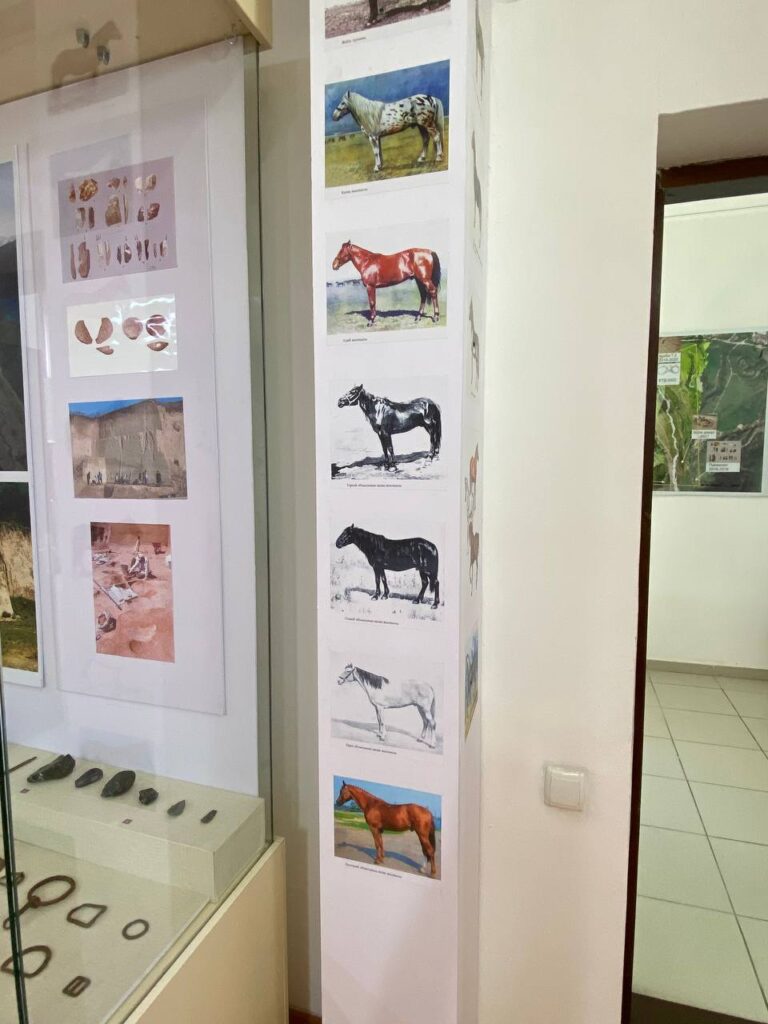 Фото: Валентина Владимирская