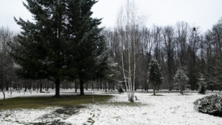 Штормовое предупреждение на 28 февраля: снег, гололед и сильный ветер в Казахстане