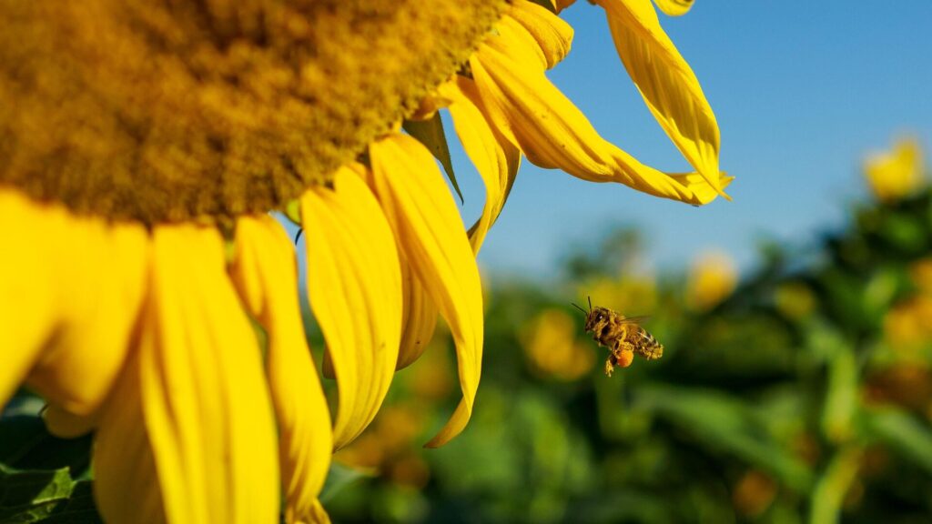 Фото: РИА Новости / Виталий Тимкив