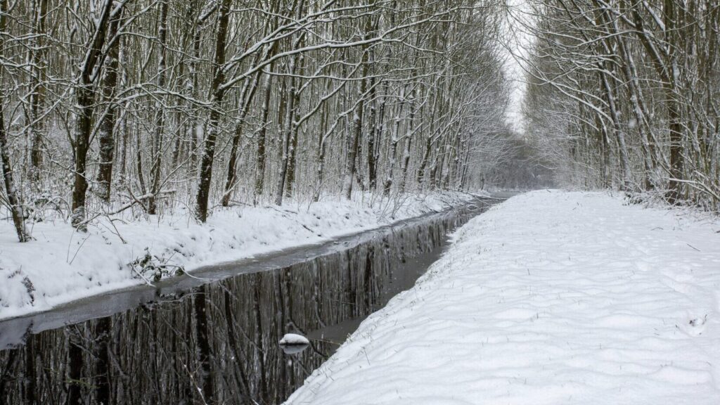 Фото: wirestock / Freepik.com