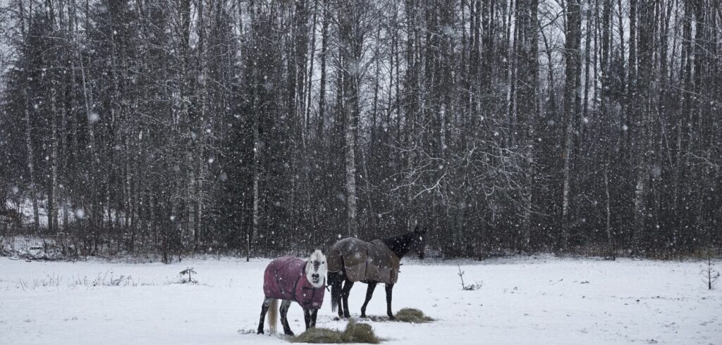 Фото: wirestock / Freepik.com