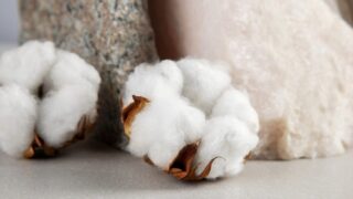 В Казахстане зафиксировали рекордный урожай хлопка за 21 год