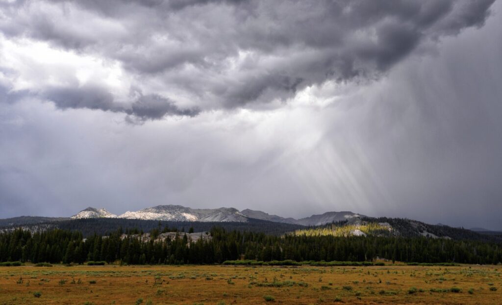 Фото: wirestock / Freepik.com