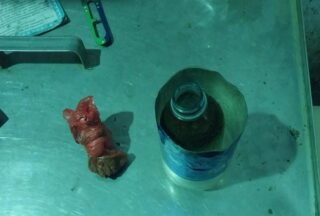 Гвардейцы предотвратили попытку доставки запрещённых веществ в учреждение УИС