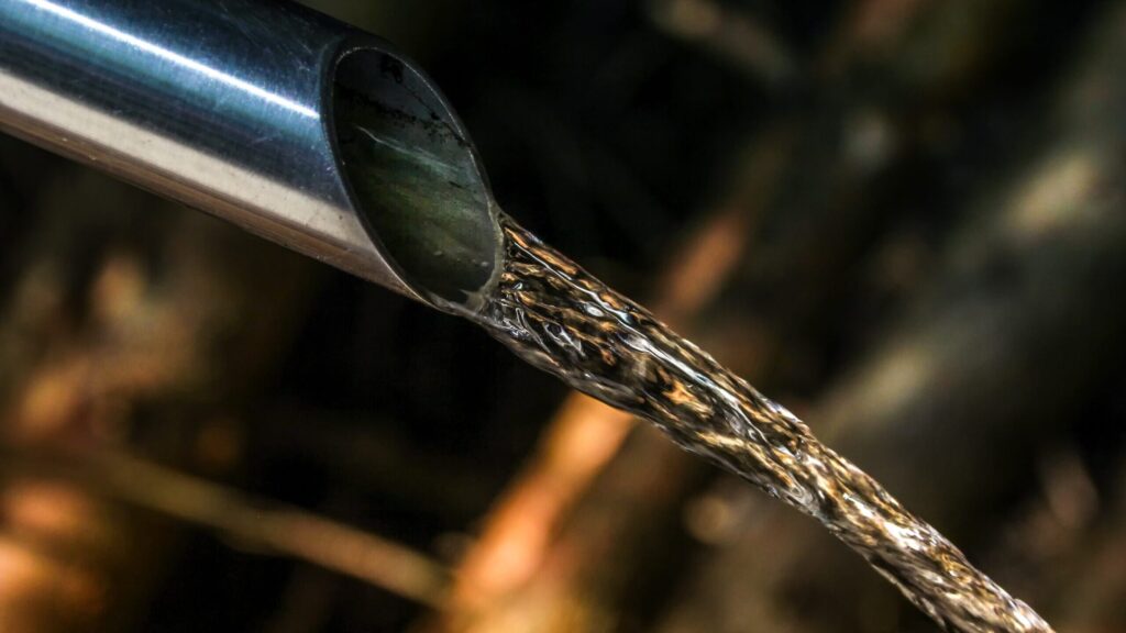 Фото: analogicus / Pixabay