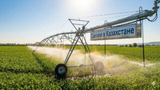 Наука выходит в поле: как казахстанские ученые монетизируют патенты и кто снимает сливки