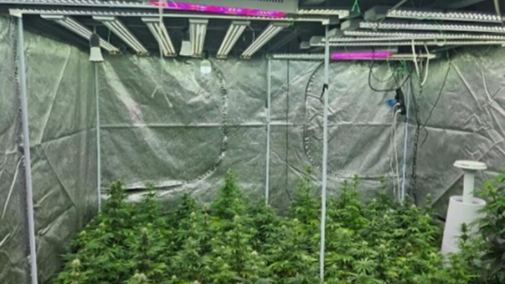 Фото: пресс-служба КНБ Казахстана