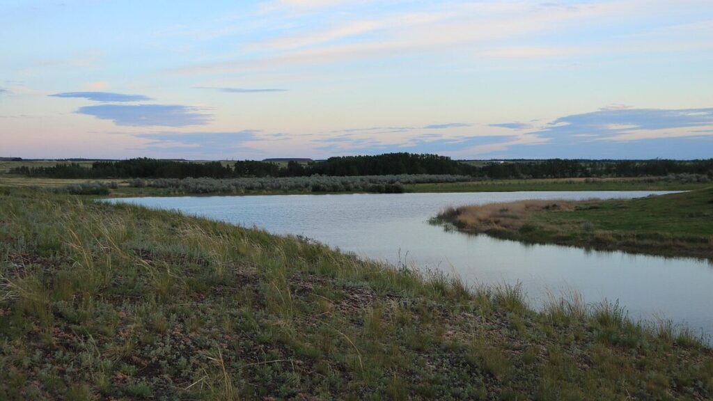 Фото: lomovtsova / Pixabay