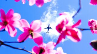 Авиакомпания Vietjet Qazaqstan внедряет скидку 20% к 8 Марта