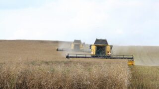 Два месяца экспортная сельхозпродукция Казахстана не отгружается из-за проблем с НДС 