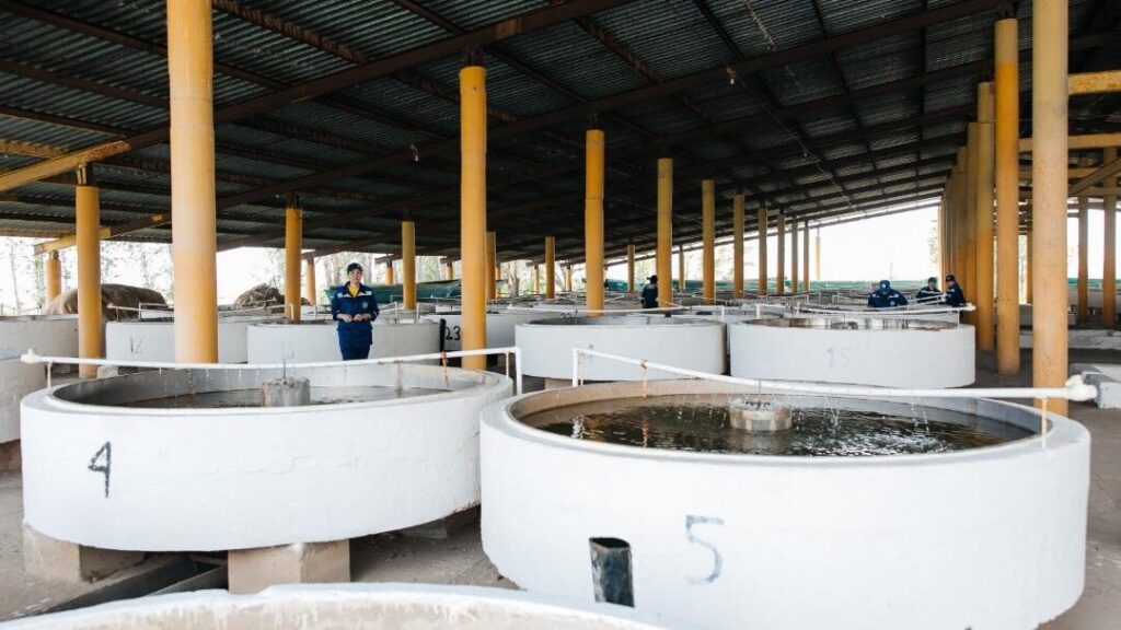 Фото: Акимат Атырауской области