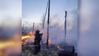 В Северо-Казахстанской области МЧС остановили пожар и не дали огню дойти до леса