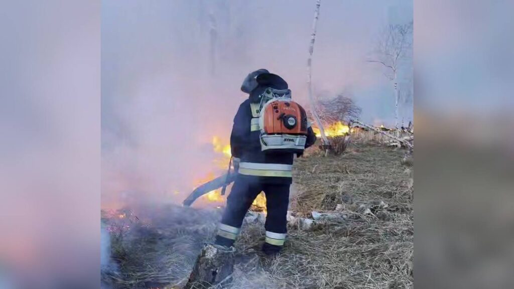 Скриншот из видео МЧС Казахстана