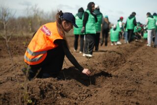 FlyArystan поддержал проект фонда «Halyk» по восстановлению лесов