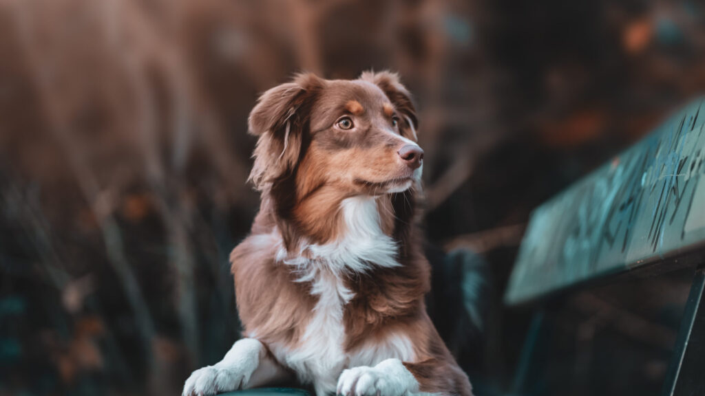 Фото: wirestock / Freepik