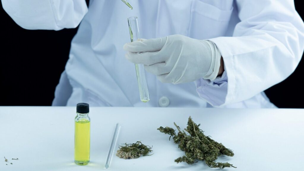 Фото: jcomp / Freepik.com