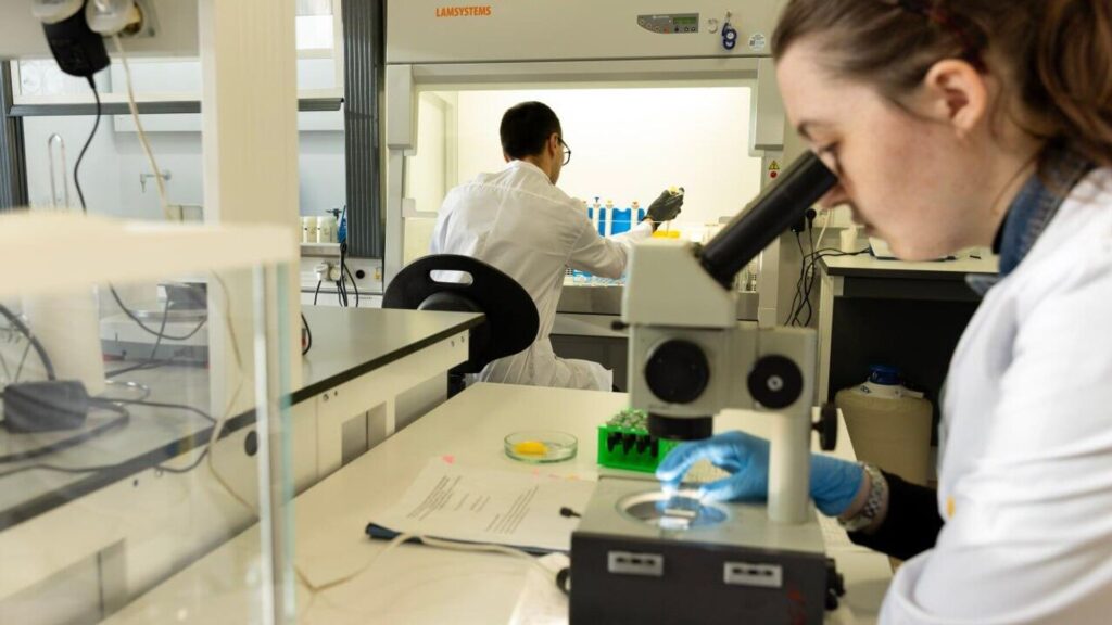 Фото: РИА Новости