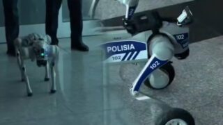 Роботы-собаки вышли на патрулирование улиц Актау